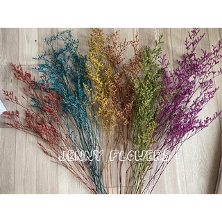 Hoa sao đuôi công khô, sao tình nhân - Hoa khô trang trí, decor