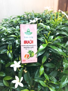 Tinh dầu Bưởi. Trị rụng tóc, kích thích mọc tóc.