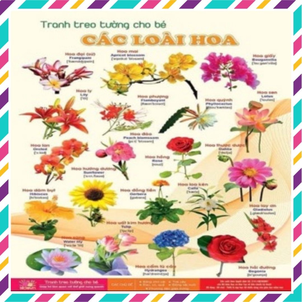 Tranh treo tường cho bé 12 chủ đề về thế giới xung quanh cho bé từ 6 tháng tuổi