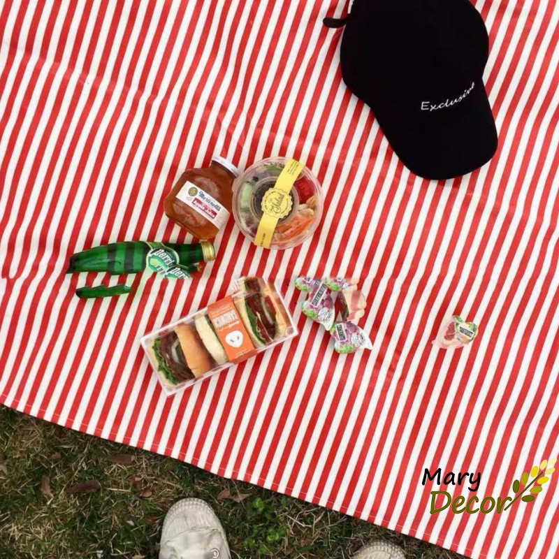 Thảm picnic VẢI canvas siêu xinh đi du lịch, bãi biển NHIỀU KÍCH THƯỚC
