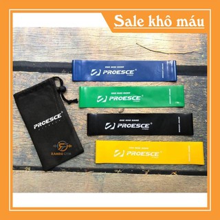 Combo dây đàn hồi kháng lực miniband chuyên tập mông