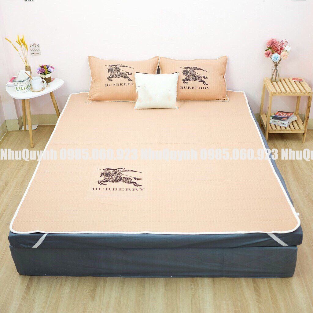 Chiếu đũi điều hoà ⚡️ FREE SHIP ⚡️ Chất liệu Cotton đũi thoáng mát kích thước m6 m8 và 2m