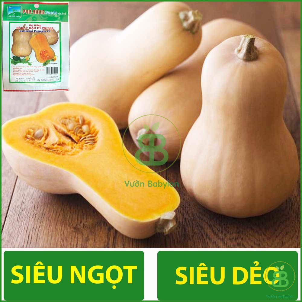 Hạt Giống Bí Đỏ Hạt Đậu F1 Siêu Ngọt, Siêu Dẻo 2Gr