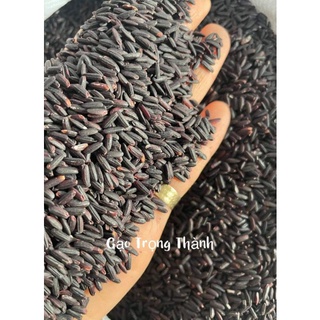 Gạo lứt đen