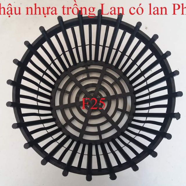 Combo 10 chậu nhựa trồng lan size 25cm