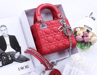 Túi xách DIOR LADY 3 ô 