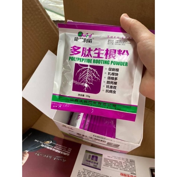 Siêu kích rễ Polypeptide rooting powed