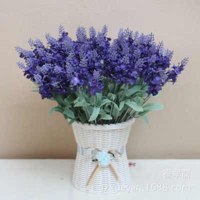 Hoa giả - Hoa lavender