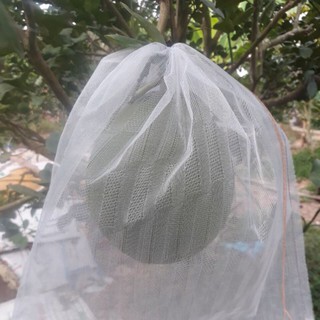 50 Túi bọc Bưởi lưới mùng kthuot 30 x 35