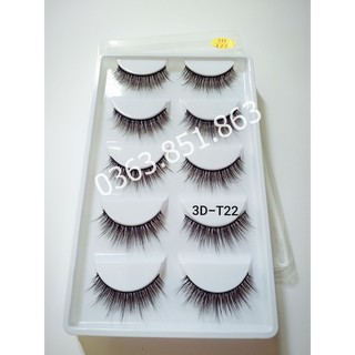 Lông mi 3D, lông mi chồn (3D-T22) 5 cặp