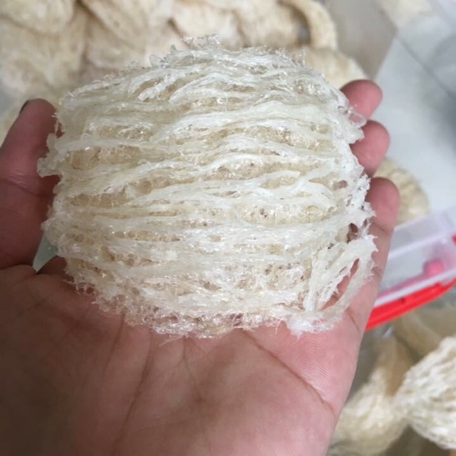 YẾN XÀO SỢI - NHÀ NUÔI