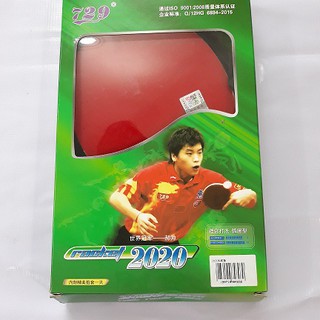 Vợt bóng bàn 729