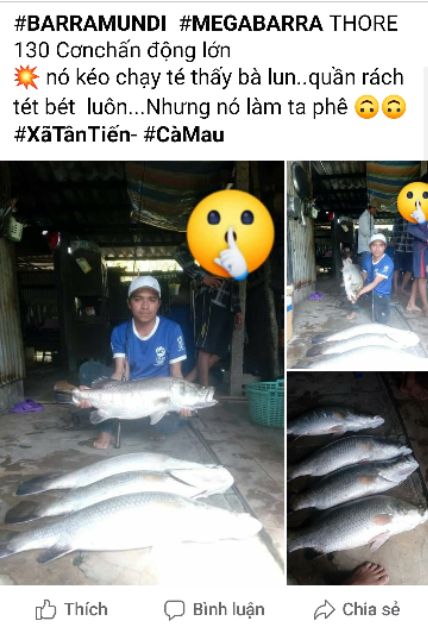 Mồi câu Megabarra Thorne 130mm 14.5g Floating Minnow