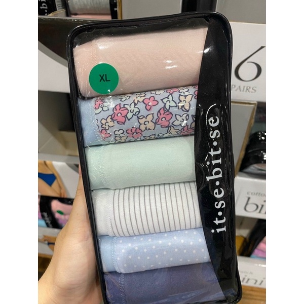 Quần chip nữ cotton auth set 6 cái