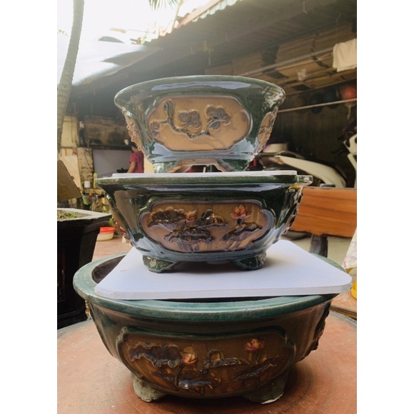 Chậu tròn trồng cây bónsai  - chậu tưs cảnh
