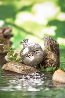 Ủ trắng da mặt yến tươi