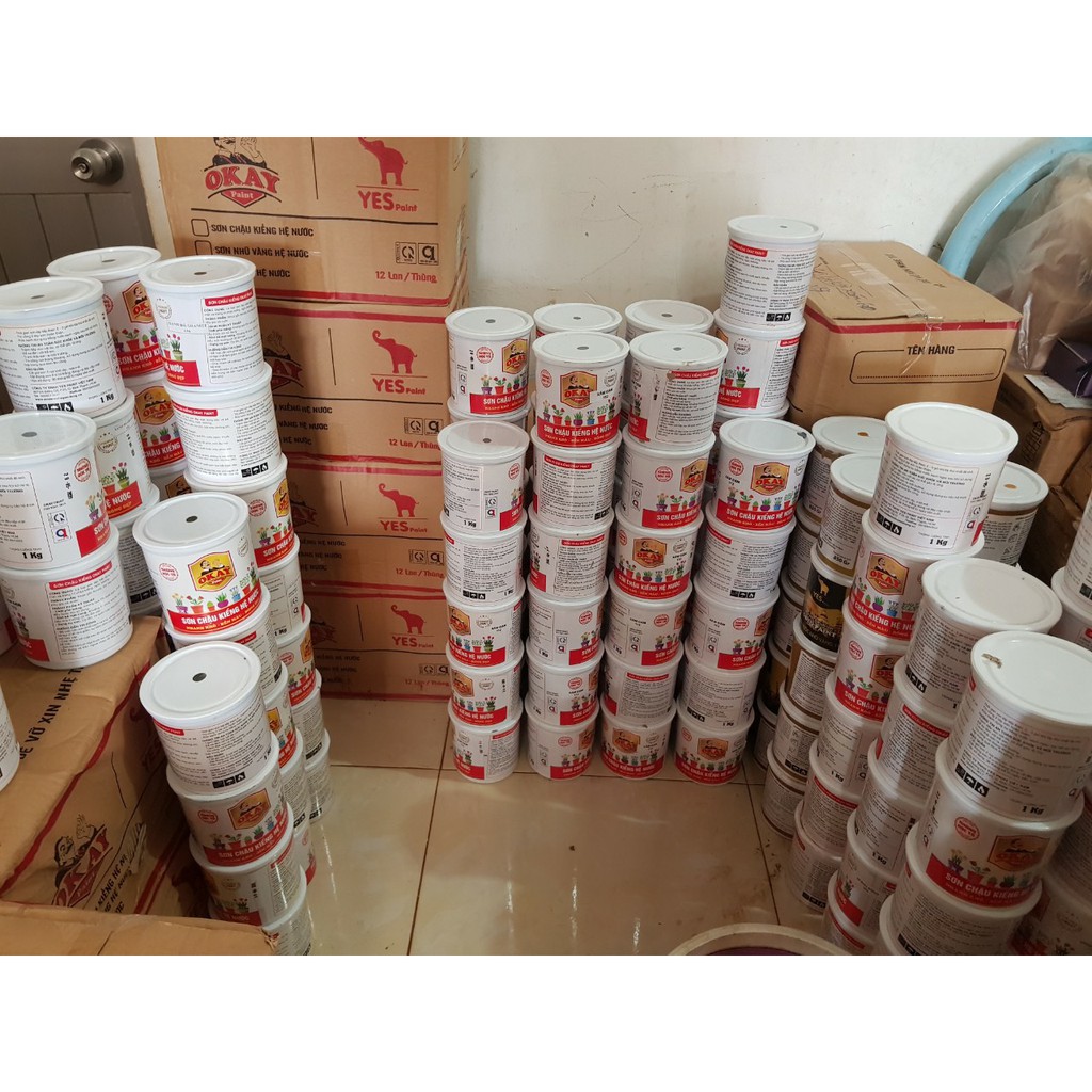 Sơn Chậu Kiểng Hệ Nước Okay Loại 1kg