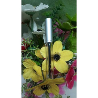 VỎ MASSCARA / SON LIP 10ML