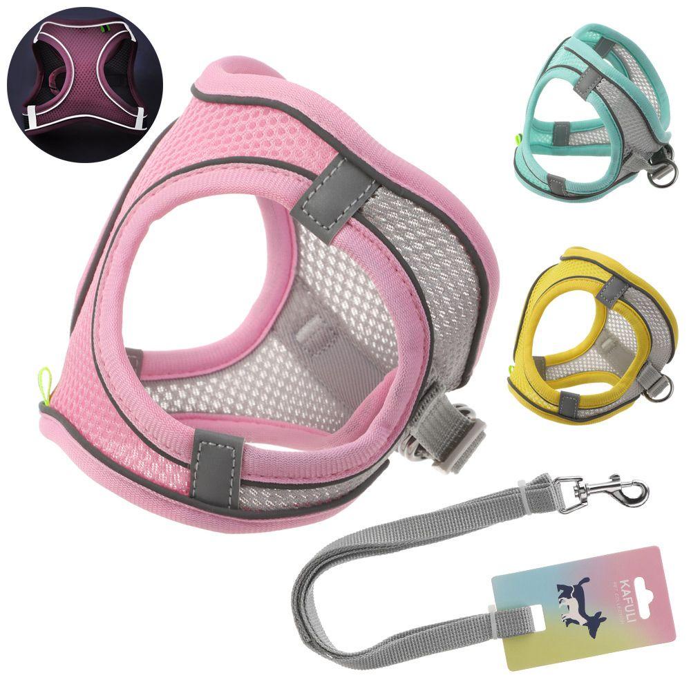 Dây Dắt Chó Chihuahua Phản Quang Tiện Dụng