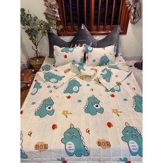Set 5 món chăn hè ga gối cotton poly đẹp nhiều mẫu lựa chọn