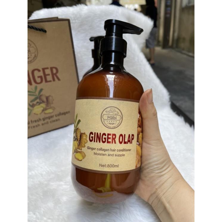 Cặp Dầu Gội Xả Gừng tươi Ginger Olap 800ml x2