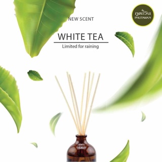 Tinh dầu thơm phòng que gỗ phutawan ( Mẫu Mới )