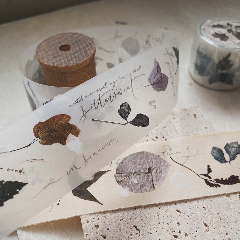 Meohime 𓃠 Hãng MrEggplants - Băng dán PET tape lá khô Old leaves