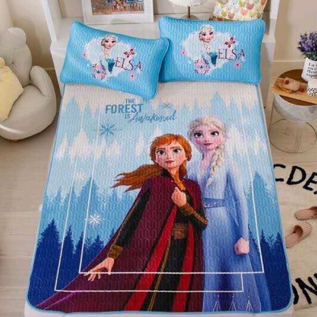 Chiếu điều hoà cao su non