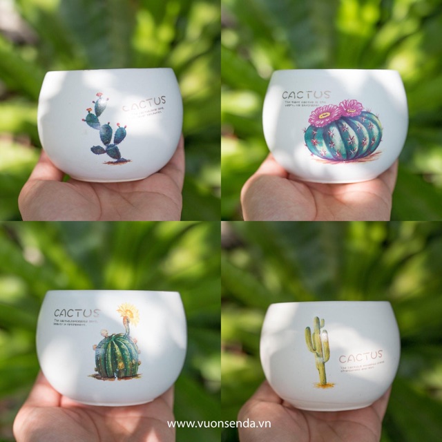 Chậu sứ hạt dẻ mini 8x8cm - In hình
