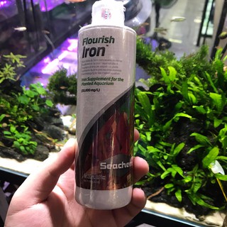 Seachem Flourish Iron 250ml (PHÂN NƯỚC BỔ SUNG SẮT)