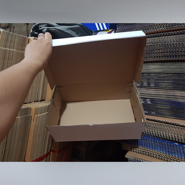 Hộp Giày, Box Đựng Giày MCqueen Giá Rẻ