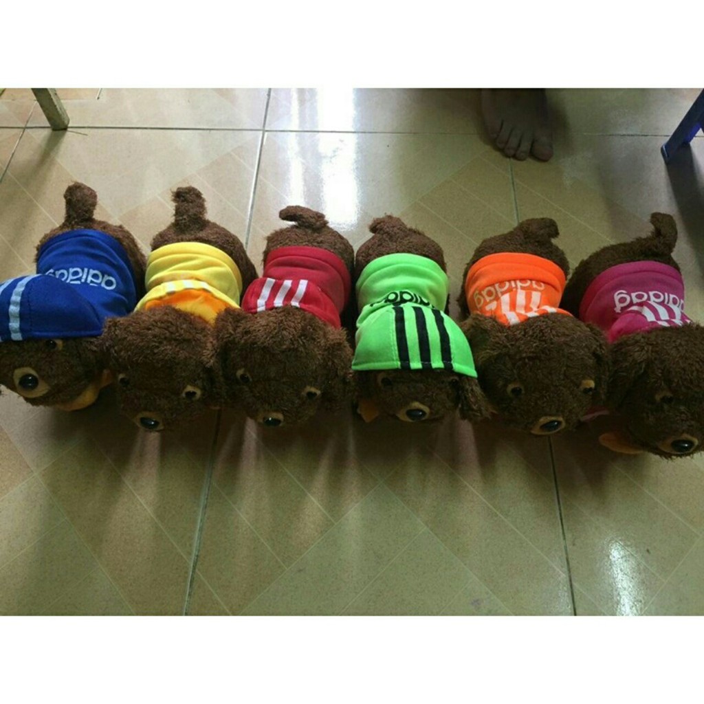 Chó bông biết đi ,biết hát tiếng việt .Kaori86