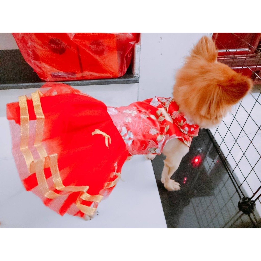 áo Đầm tết ren hoa mẫu đơn - đầm TẾT cho chó mèo