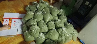 Bột thạch găng 1kg
