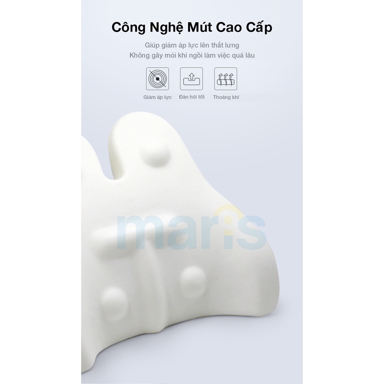 Gối Tựa Lưng Ghế Văn Phòng Cao Su Non MARIS Mr - 403 Công Thái Học Chống Đau Mỏi Thắt Lưng Size 43 x 39 x 16 Cm