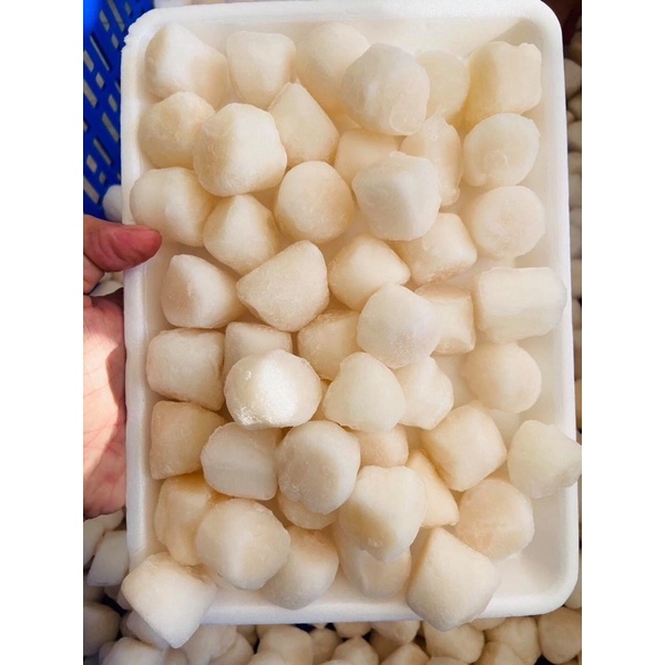 [HỎA TỐC SG] Cồi sò điệp lớn ngon chất lượng xào mì nướng 500g