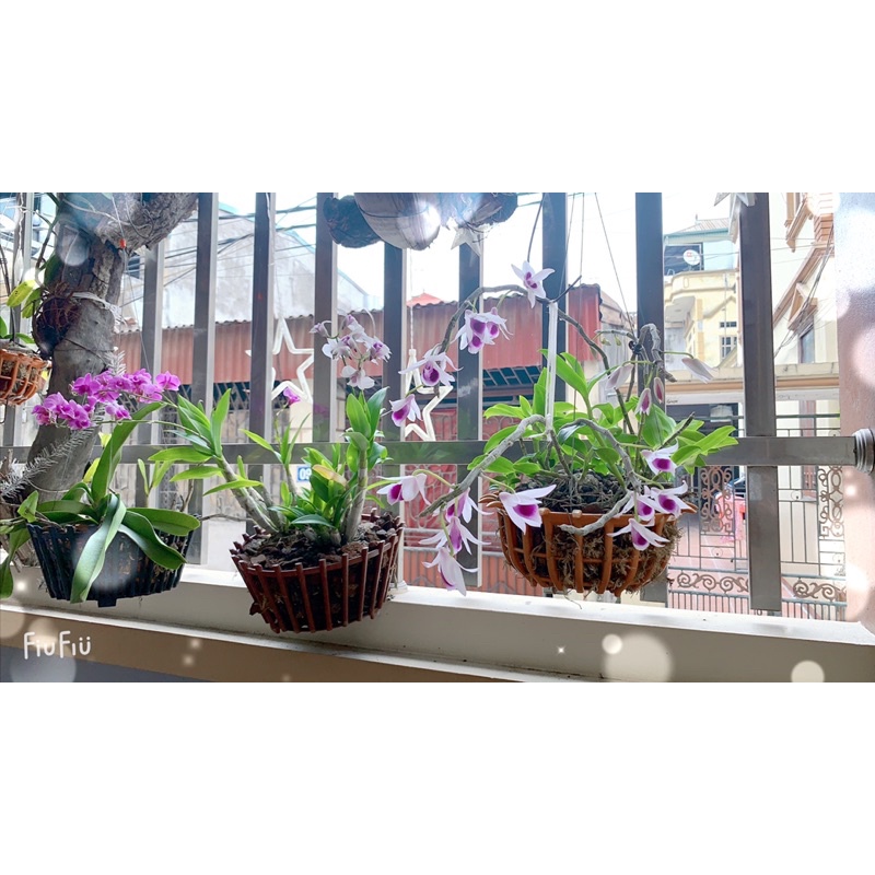 Băng keo chịu nhiệt 320 độ teflon vải sợi thuỷ tinh khổ 5cm x 2cm x 1cm x 10m