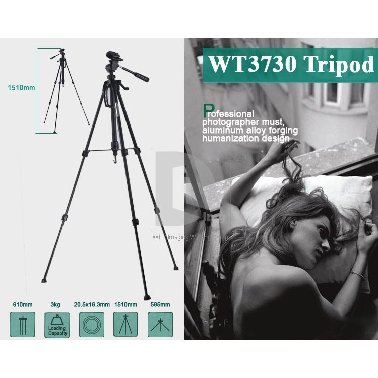 Chân máy ảnh và điện thoại TRIPOD WEIFENG WT3730