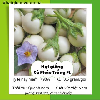 Hạt giống cà pháo trắng rado - gói 0.5 gram