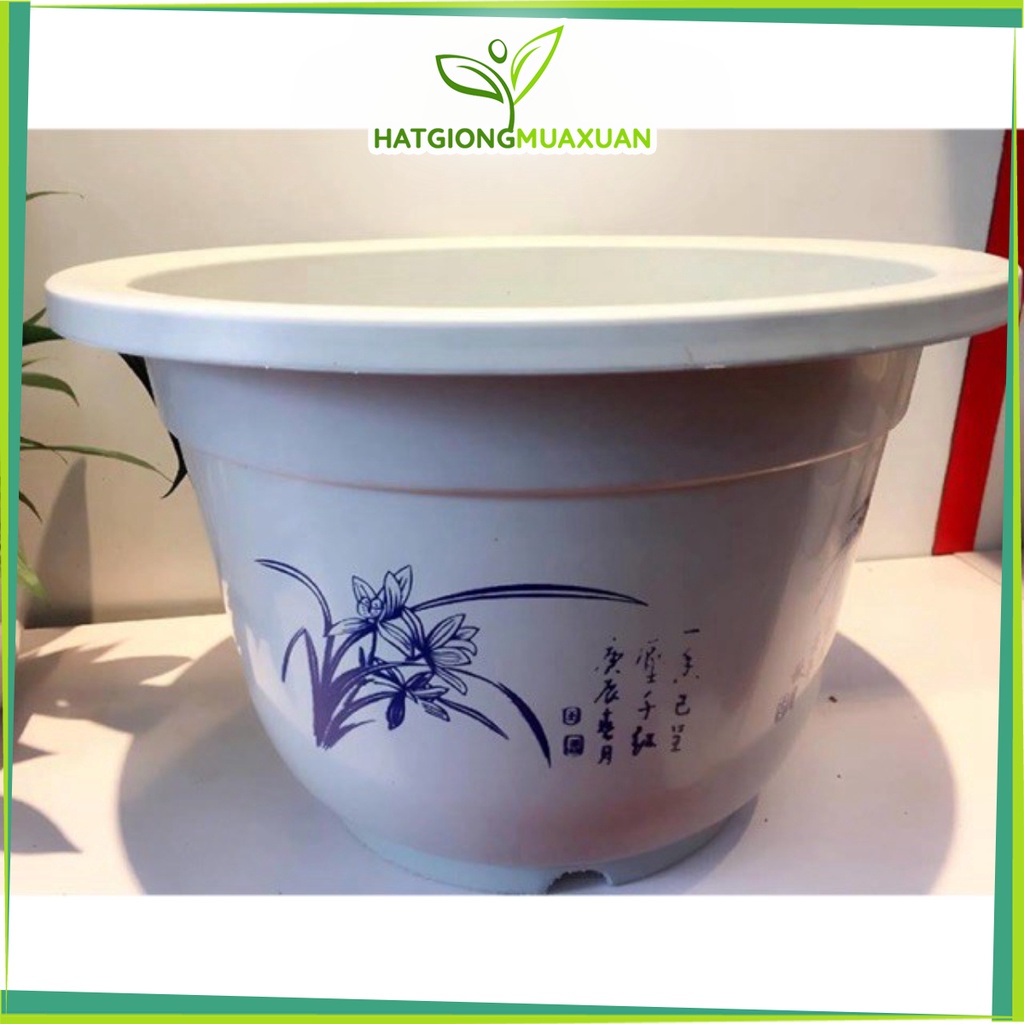 Set 55 chậu nhựa trồng cây rộng 20cm cao 12cm