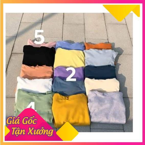 [ XẢ KHO CẮT LỖ] 70K/ 1 chiếc Áo Hoodie Một Màu Basic [RANDOM] | BigBuy360 - bigbuy360.vn