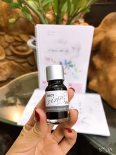 Mực pilot ink Nhật cao cấp 10ml