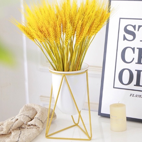 Lúa Mạch Khô Tự Nhiên Trang Trí Chụp Ảnh