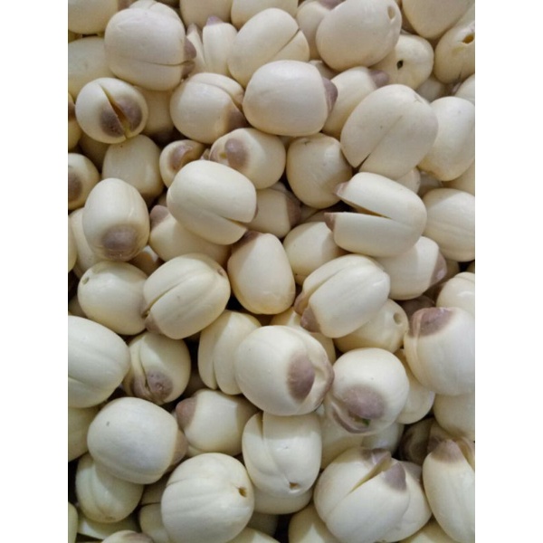 Sen Tươi bóc vỏ còn tim sen(Sen Lụa)