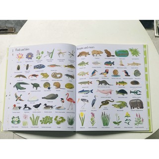 Sách - 1000 Things In Nature