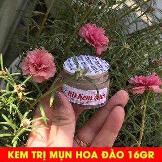 TRỊ MỤN HOA ĐÀO THINGROUP SIZE LỚN