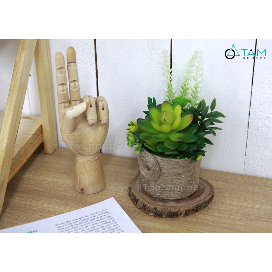 Lót ly lát cây gỗ tự nhiên nhiều kích cỡ  LOTLY-02