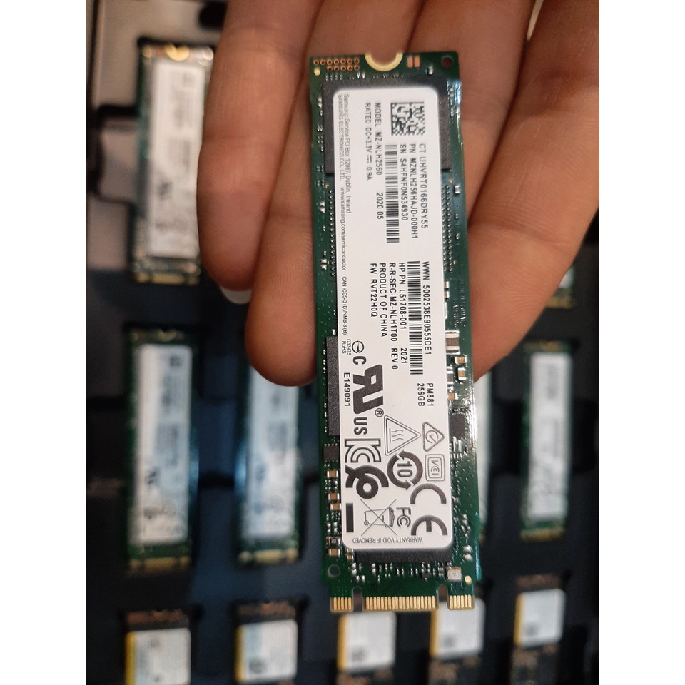 Ổ cứng SSD 256GB | 512GB M2-SATA Samsung PM881 2280 - Bảo hành 36 tháng