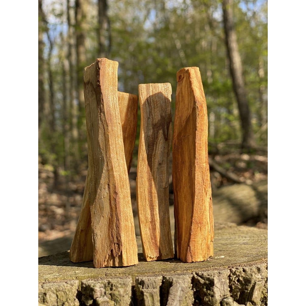 Palo Santo - Gỗ trắc xanh - Gỗ thánh Peru
