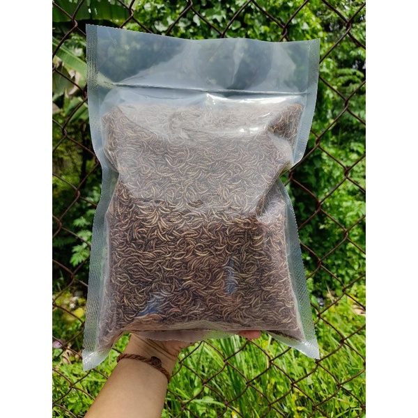 Sâu sấy khô 250g tiết kiệm